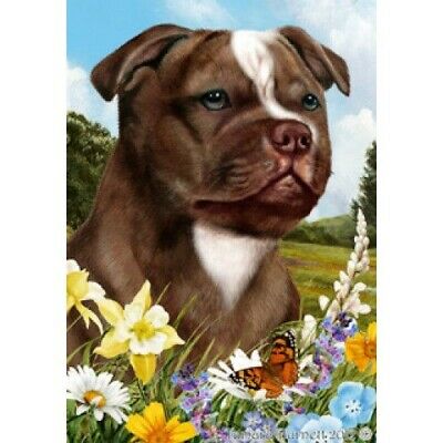 Summer Garden Flag - Chocolate Staffordshire Bull Terrier 182441