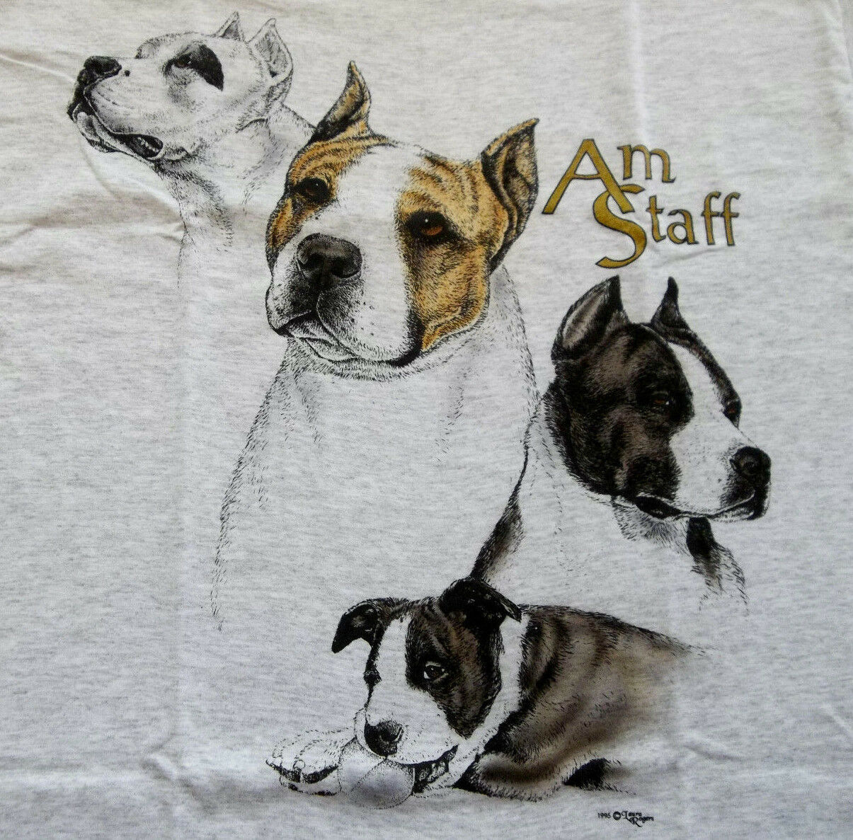 American Staffordshire Terrier T-shirt  ~ Ash ~ Size Med ( 38 ~ 40 )
